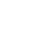 Profissionais Qualificados